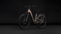 Elektrokolo Cube NURIDE Hybrid ONE11 HPC SLX 800 Easy Entry goldenbrown´n´black 2027