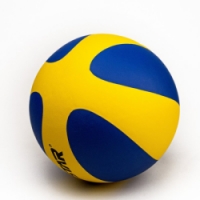 míč volejbalový Welstar Micro fiber vel.5