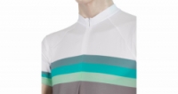 dres krátký pánský SENSOR SUMMER STRIPE šedo/zelený