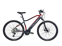 Voyager MFX 19