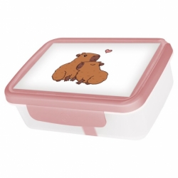 zdravá sváča R&B box Kapybary