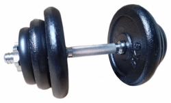 činka nakládací jednoruční 20kg 25mm chromovaná
