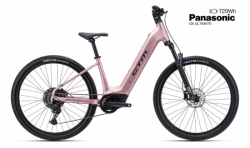 CTM ROXXY GX Pro 2026 starorůžová