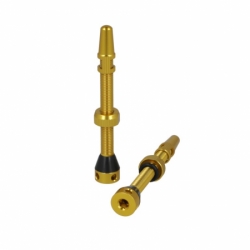 ventilek CST Tubeless zlatý 2ks FV60mm