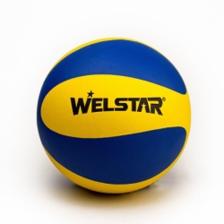 míč volejbalový Welstar Micro fiber vel.5