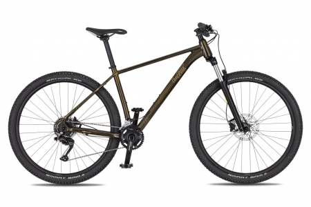 4EVER 2026 FRONTBEE XCM - gold galaxy